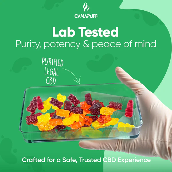 CBD Gummies Immunity - Image 10